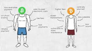 At the beginning of july, bitcoin price extremely rose up to $12 500 but fluctuated from $12 500 to $9 300. Bitcoin Vs Bitcoin Cash Why Not Both By Frederik Bussler Medium