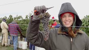 Documentary profiles a possible future saint