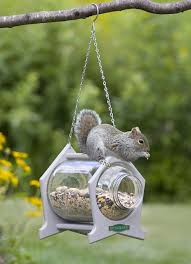 Duncraft Com Hanging Squirrel Jar Squirrel Feeders Squirrel Feeder Diy Diy Bird Feeder
