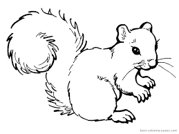 Krolik I Wiewiorka Kolorowanki Do Wydrukowania Squirrel Coloring Page Animal Coloring Pages Squirrel Clipart