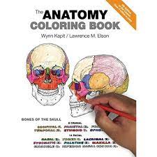 On each people, there are different structures of human body rendered but since they are colorless, you will need to use your artistic. The Anatomy Coloring Book 0642688054786 Medicine Health Science Books Amazon Com