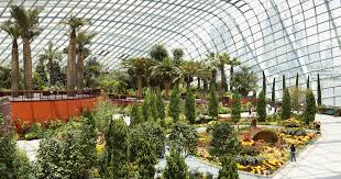It mimicks tropical mountainous regions 3,500m above sea level. Cloud Forest En Mywowo Travel App
