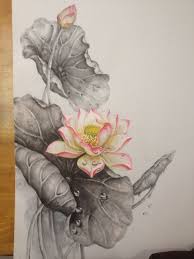 Sen Trong Mưa Y Tưởng Hinh Xăm Mỹ Thuật Nghệ Thuật