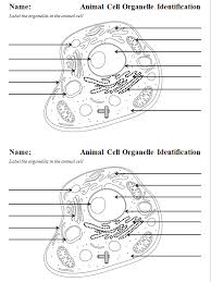 We did not find results for: The Cell Worksheets Teaching Resources