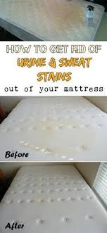 Pin By Debra Webb On Household Helpers Mattress Cleaning Cleaning Hacks House Cleaning Tips