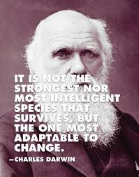 The 62 most inspiring project management quotes inloox. 9 Adaptability Ideas Inspirational Quotes Words Words Of Wisdom