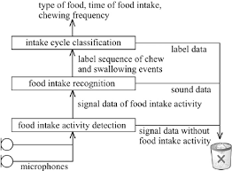 Flow Chart Of Food Intake Analysis Steps Download