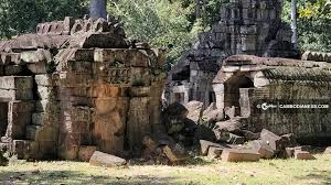 Image result for Scleria poiformis