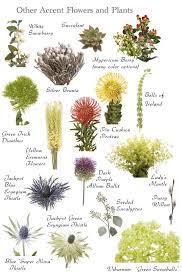 Starting flower arrangement business is great way to earn good money.here we collected best flower arrangement names ideas. Flower Names By Color Flowers Flower Names Plants
