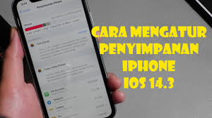 Cara Mengatur Penyimpanan Iphone Ios 14 3 Youtube