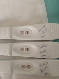 Sainsburys Healthcare Pregnancy Test Instructions Pregnancy Test