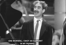 One Morning I Shot An Elephant In My Pajamas Movie Https Encrypted Tbn0 Gstatic Com Images Q Tbn 3aand9gcqmzcunv8z6grquij03dyrjp6jig63cx022 Q Usqp Cau