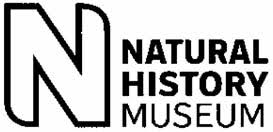 Image result for Adenostemma afrum