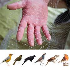I'm thinking apple trees, but i'm looking for suggestions. Anti Bird Protection Net Mesh Garden Portable Plant Netting Protect Plants And Fruit Trees From Rodents Birds Deer Best For Seedlings Vegetables Flowers Fruits Bushes Reusable Fencing Buy Online In Honduras At