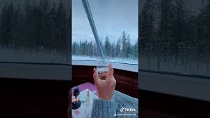 Shameless guy insult women wanderers hub triggered insaan. Wanderers Hub Lived In A Glass Cabin In Finland Youtube