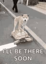 Ill Be There Man Gifs Tenor