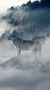 Wolf Hd Wallpaper Iphone X 1080x1920 Wallpaper Teahub Io Download lone wolf iphone wallpaper for free, and beautify your phone screen. wolf hd wallpaper iphone x 1080x1920