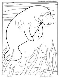 Mammals Coloring Educational Fun Kids Coloring Pages And Preschool Skills Worksheets This gives the species its alternative name of 'pink river. mammals coloring educational fun kids