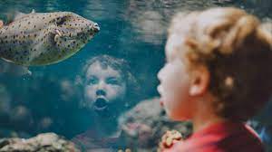 Entdecke rezepte, einrichtungsideen, stilinterpretationen und andere ideen zum ausprobieren. 100 Amazing Life Experiences That Will Completely Change Your Perspective Inc Com