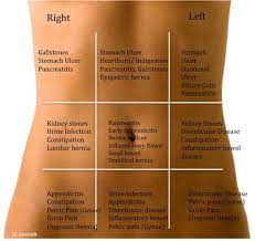 Abdominal pain is usually felt in the part of the trunk below the ribs and above the pelvis and the but certain forms of abdominal pain may indicate a serious health condition, so it's important to. Abdominal Pain Chart Do It And How