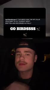 Sudden Passion for the Eagles: A Fan's Journey