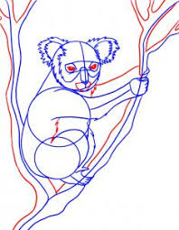 Voici une astuce pour dessiner parfaitement le fameux koala sur un flan. Dessin Au Crayon De Kuala Photo D Un Koala Comme Dessiner Le Koala Avec Le Crayon Progressivement