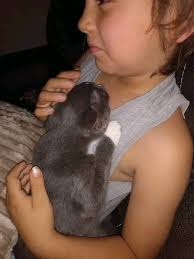 Bob Hein-Cats-The_Leader_Post (Regina,Saskatchewan,Canada)-05-15-74-not  Greg Robertson in the picture with Bob Hein-anyone know who it is?