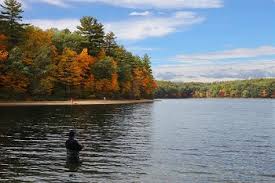 What are examples of agricultural waste. Difference Between A Lake A Pond Lesson For Kids Study Com