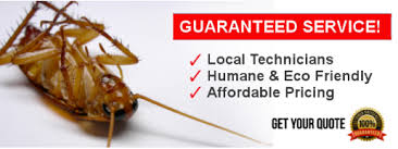 We come up with solutions for your pest control needs. Active Pest Control Home Facebook