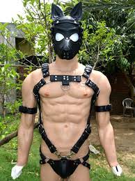 Men's Bondage Leather Trojan Body Harness Gay buckles chest harness  ,puppy mask | eBay