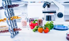 Don't forget to check the 'best before' date on the ………. Man Made Fruits And Vegetables You Might Have Some At Home Right Now Foodiosity