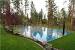 Half Court Backyard Basketball Court