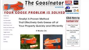 Getting rid of geese from your property can be tricky but it isn't impossible. Get Rid Of Geese And Have Stunning Looking Grass Youtube