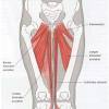A common cause of tight hamstrings is exercise or another form of intense activity. 1