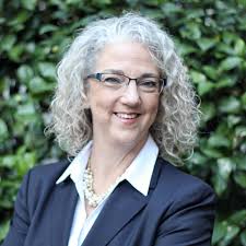 2017 FLIP-A-DISTRICT FRIDAYS — Project Blue Dominion