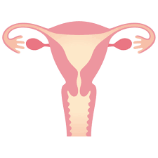 Here's what one leading expert wants women to know about ovarian cancer symptoms. Why Are We Still Talking About Ovarian Cancer