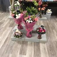 Collection by lucy wiley • last updated 2 hours ago. Flowers By Lucy Now Closed Kilkenny Co Kilkenny