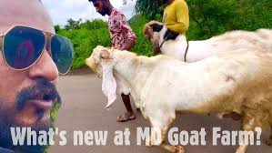 Jama Masjid Bakra Mandi 2023 Delhi Urdu Park June 21