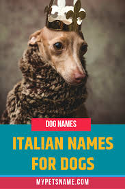 Italian Names For Dogs Italian Dogs Dog Names Pet Names