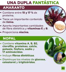 Por Que El Nopal Y El Amaranto Podrian Hacer Frente A La Crisis Mundial De Los Alimentos Rt