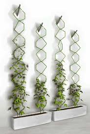Pin Van Doctor Op Deco Planten Latwerk Tuin Huisplanten