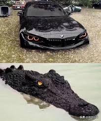 Hey Brotha Memes Bmw Super Cars Sport Cars Bmw