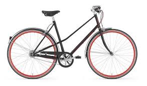 Pin Von Amas Auf Fahrrad In 2020 Gazelle Van Stael Fahrrad Xxl Gazelle Fahrrad