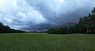 чем больше я узнаю людей тем больше я люблю собак Chem Bolshe Ya Uznayu Lyudej Tem Bolshe Lyublyu Sobak S Places To Go Nature Places