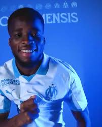 SOUTIEN AUX ÉLÉPHANTS