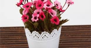 Mary Case Saksa La Yapay A Ia Ek 649d Papatya Fuaÿya Pembe Papatyalar Pembe Cicek