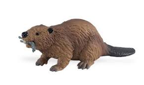Safari Beaver By Safari Ltd 2 48 Each Replica Comes With 5 Language Educational Hangtag All Safari L North American Wildlife Beaver Animal Animal Figures