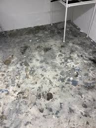 Image result for site:byggahus.se epoxy betong