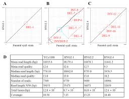 · the act of breathing heavily through the nose (as when the nose is congested). Bioengineering Free Full Text Scramble A Study Of Its Robustness And Challenges Through Enhancement Of Hygromycin B Resistance In A Semi Synthetic Yeast Html