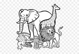 Check spelling or type a new query. Outline Drawing Of African Animals Public Domain Vectors Wild Animals Coloring Page Free Transparent Png Clipart Images Download
